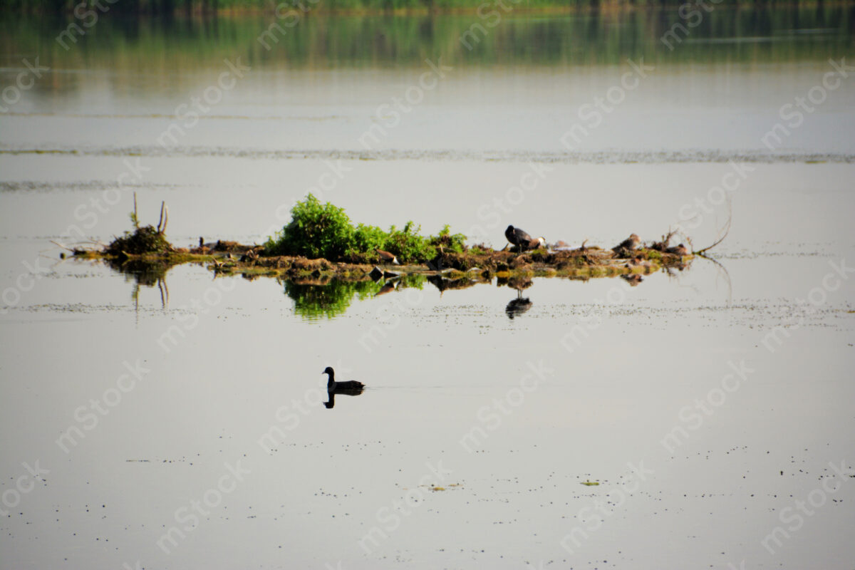 Beauty and mystery are reflected in the lake in the evening