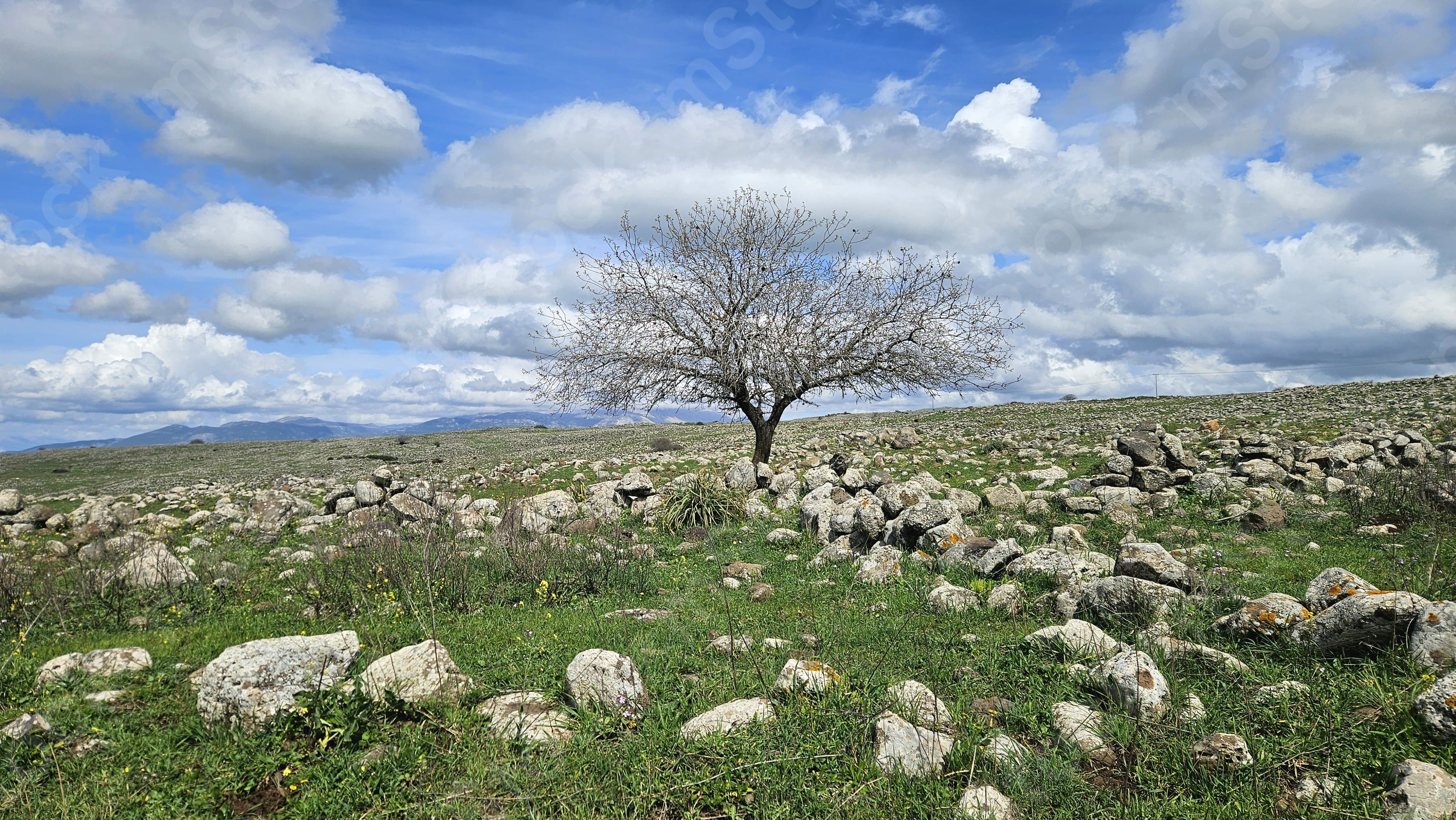 Spectacular colors and shades in the expanses of wild nature