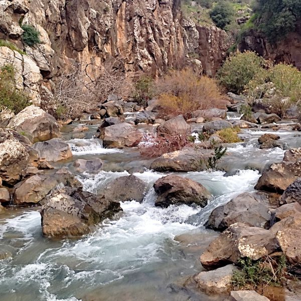 The flow and softness of the water between the hardness of the rocks, contrasts that complement each other