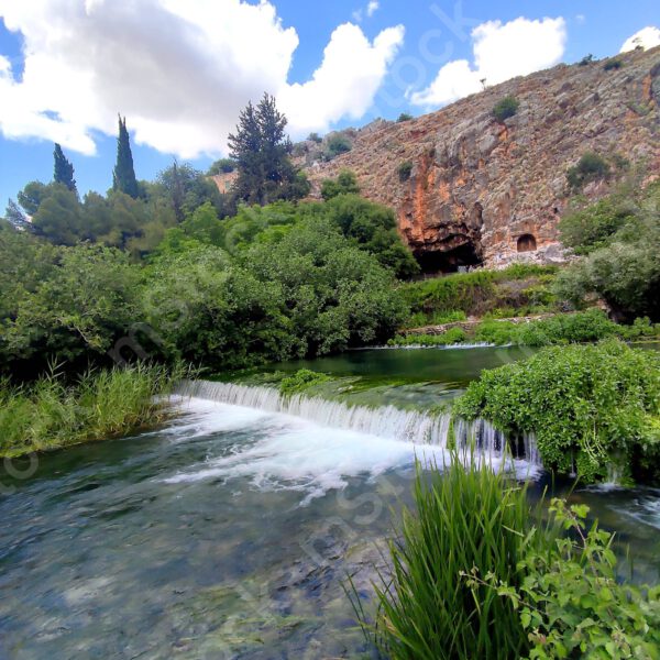 An abundance of flow and vegetation in the Banias Nature Reserve preview