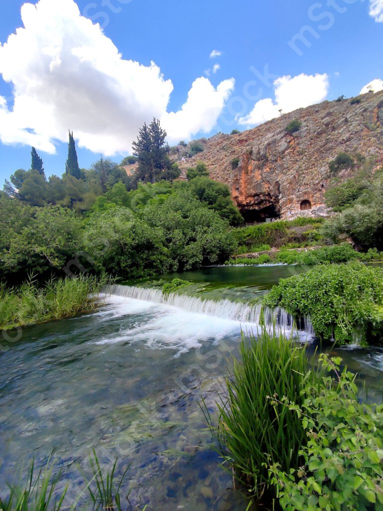 An abundance of flow and vegetation in the Banias Nature Reserve preview