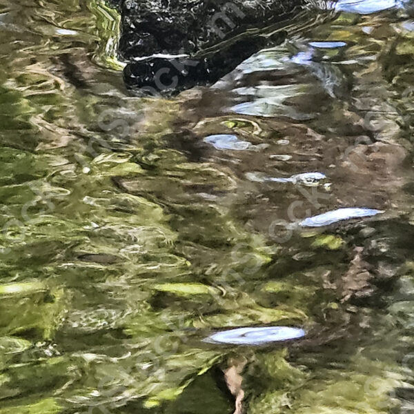 Basalt rock, like a crocodile when his head is over the surface of the water preview