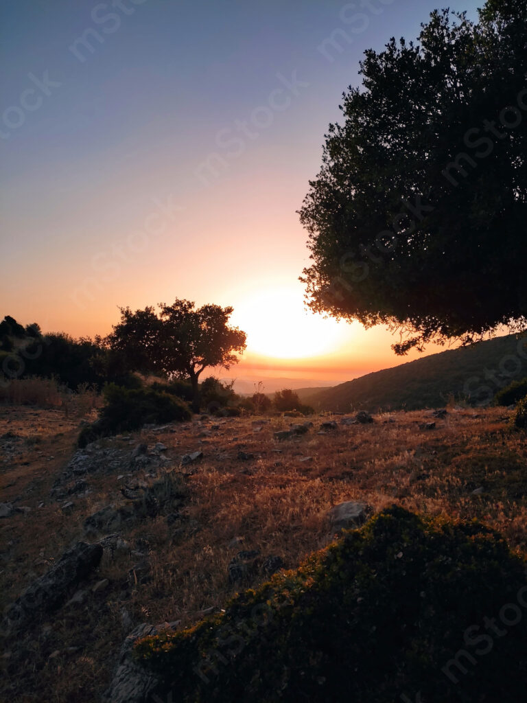 Last touches of the sun's rays just before sunset preview